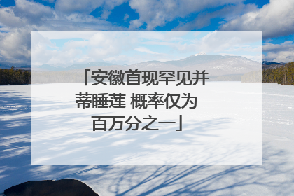 安徽首现罕见并蒂睡莲 概率仅为百万分之一