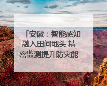 安徽：智能感知融入田间地头 精密监测提升防灾能力｜增发国债气象项目落地见效系列报道