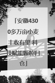 安徽4300多万亩小麦丰收有望 科技赋能颗粒归仓