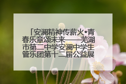 安澜精神传薪火•青春乐章颂未来——芜湖市第二中学安澜中学生管乐团第十二届公益展演圆满举行