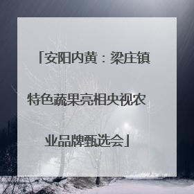 安阳内黄：梁庄镇特色蔬果亮相央视农业品牌甄选会
