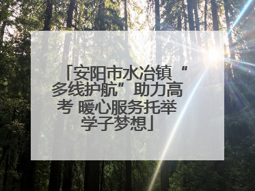 安阳市水冶镇“多线护航”助力高考 暖心服务托举学子梦想
