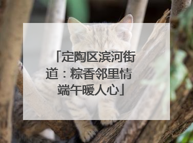 定陶区滨河街道：粽香邻里情 端午暖人心