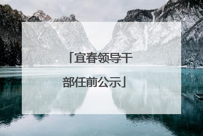 宜春领导干部任前公示