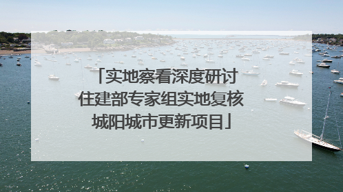 实地察看深度研讨 住建部专家组实地复核城阳城市更新项目