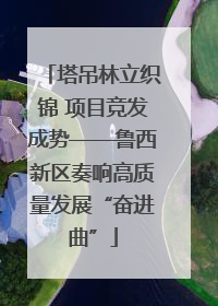 塔吊林立织锦 项目竞发成势——鲁西新区奏响高质量发展“奋进曲”