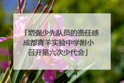 增强少先队员的责任感 成都青羊实验中学附小召开第六次少代会