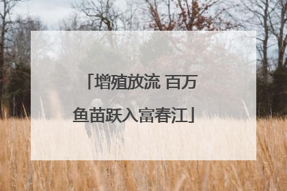 增殖放流 百万鱼苗跃入富春江