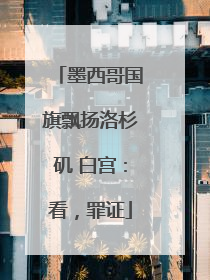 墨西哥国旗飘扬洛杉矶 白宫：看，罪证
