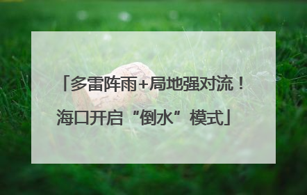 多雷阵雨+局地强对流！海口开启“倒水”模式