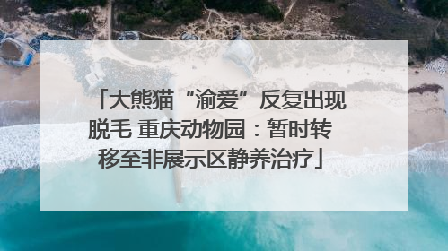大熊猫“渝爱”反复出现脱毛 重庆动物园：暂时转移至非展示区静养治疗