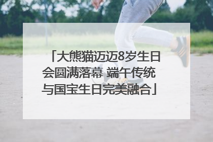 大熊猫迈迈8岁生日会圆满落幕 端午传统与国宝生日完美融合