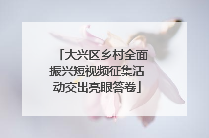 大兴区乡村全面振兴短视频征集活动交出亮眼答卷
