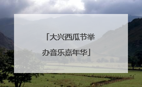 大兴西瓜节举办音乐嘉年华