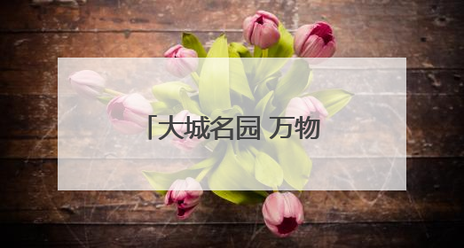 大城名园 万物和谐｜中国植物多样性再添新成员！它只在西藏墨脱
