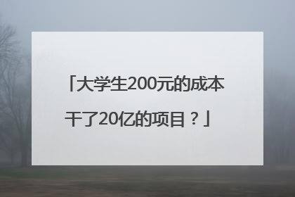 大学生200元的成本干了20亿的项目？