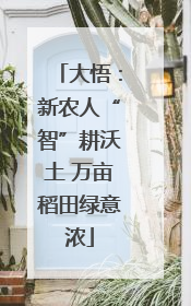大悟：新农人“智”耕沃土 万亩稻田绿意浓