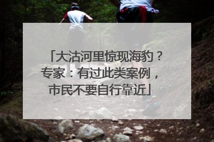 大沽河里惊现海豹？专家：有过此类案例，市民不要自行靠近