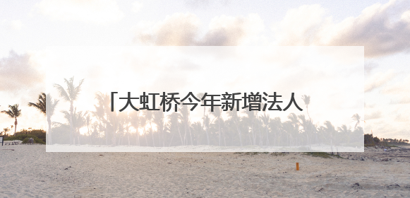 大虹桥今年新增法人企业数同比增20.6%！“走进虹桥 走进进博”活动举办