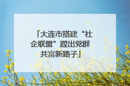 大连市搭建“社企联盟”蹚出党群共富新路子