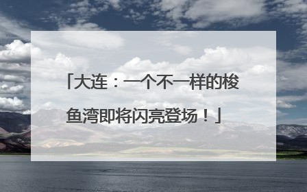 大连：一个不一样的梭鱼湾即将闪亮登场！