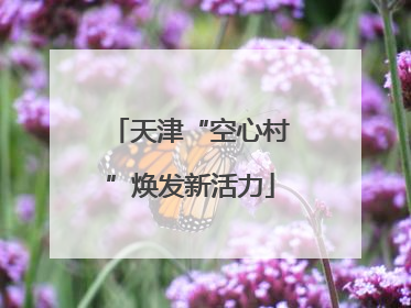 天津“空心村”焕发新活力