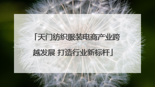 天门纺织服装电商产业跨越发展 打造行业新标杆
