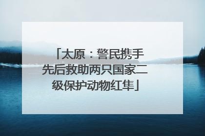 太原：警民携手 先后救助两只国家二级保护动物红隼