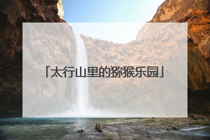 太行山里的猕猴乐园