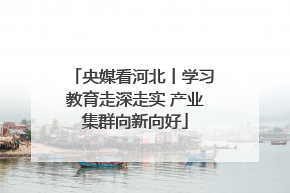 央媒看河北丨学习教育走深走实 产业集群向新向好
