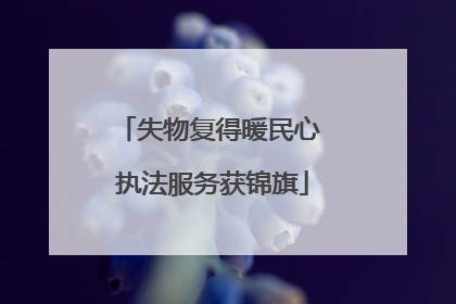失物复得暖民心 执法服务获锦旗