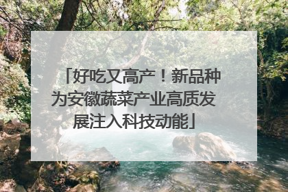 好吃又高产！新品种为安徽蔬菜产业高质发展注入科技动能