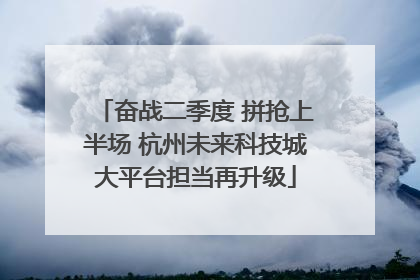 奋战二季度 拼抢上半场 杭州未来科技城大平台担当再升级