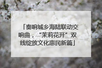 奏响城乡海陆联动交响曲，“茉莉花开”双线绽放文化惠民新篇