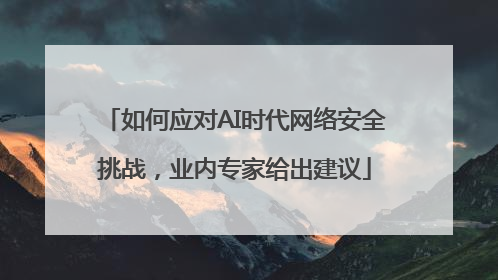 如何应对AI时代网络安全挑战，业内专家给出建议