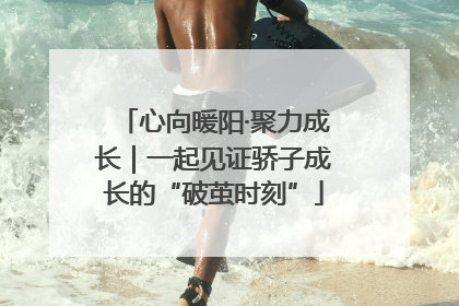 心向暖阳·聚力成长｜一起见证骄子成长的“破茧时刻”