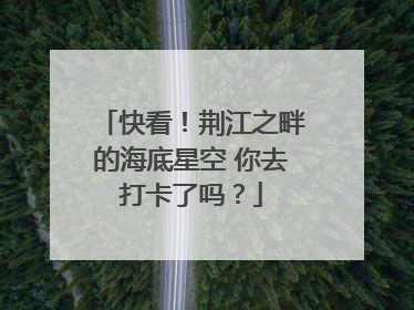快看！荆江之畔的海底星空 你去打卡了吗？
