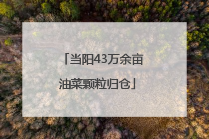 当阳43万余亩油菜颗粒归仓