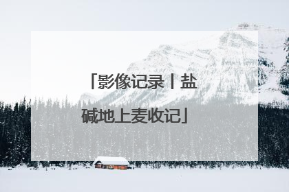 影像记录丨盐碱地上麦收记
