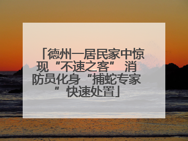 德州一居民家中惊现“不速之客” 消防员化身“捕蛇专家”快速处置