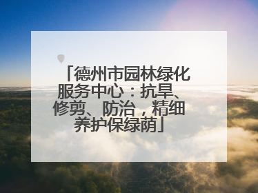 德州市园林绿化服务中心：抗旱、修剪、防治，精细养护保绿荫