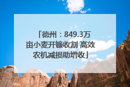 德州：849.3万亩小麦开镰收割 高效农机减损助增收