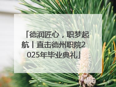 德润匠心，职梦起航丨直击德州职院2025年毕业典礼