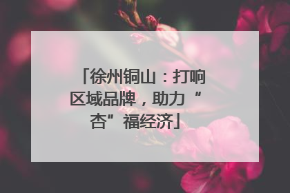 徐州铜山：打响区域品牌，助力“杏”福经济