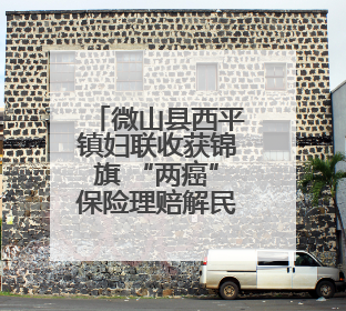微山县西平镇妇联收获锦旗 “两癌”保险理赔解民忧