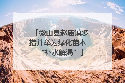 微山县赵庙镇多措并举为绿化苗木“补水解渴”