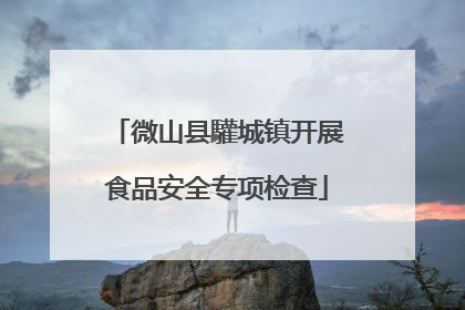 微山县驩城镇开展食品安全专项检查