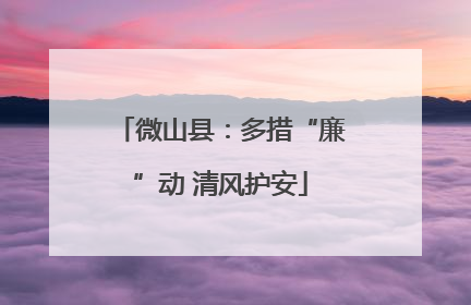 微山县：多措“廉”动 清风护安