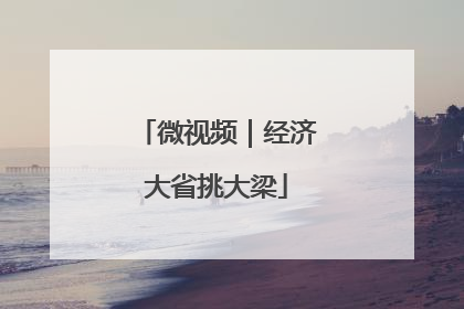 微视频｜经济大省挑大梁