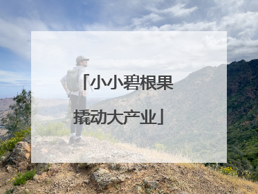 小小碧根果撬动大产业